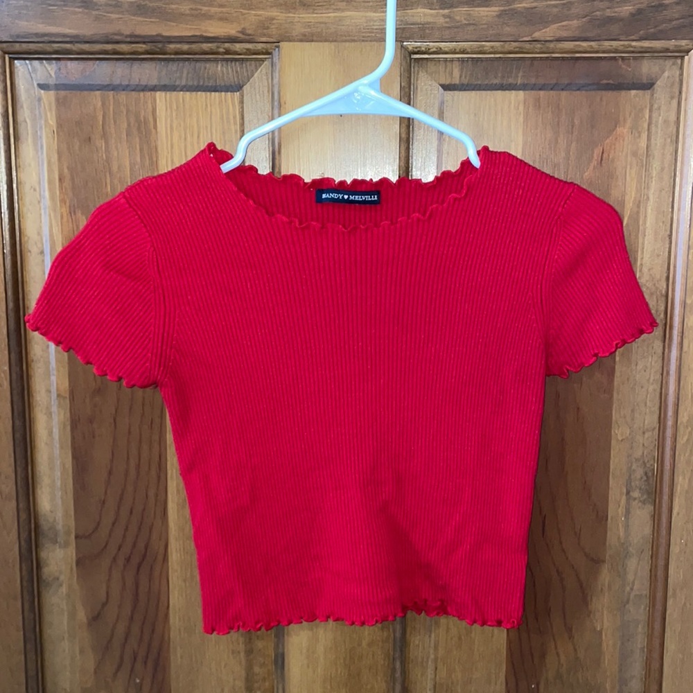 BRANDY MELVILLE CROP TOP